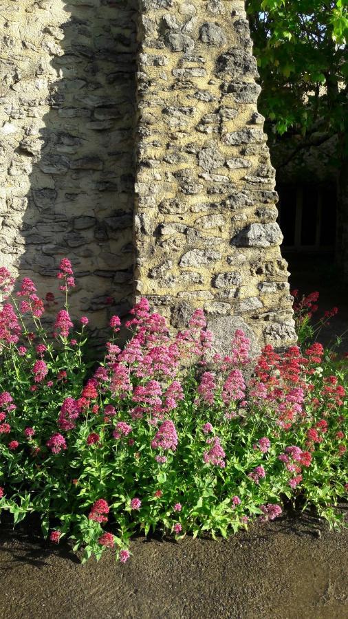Gite Aux Tournesols Malaucène Esterno foto