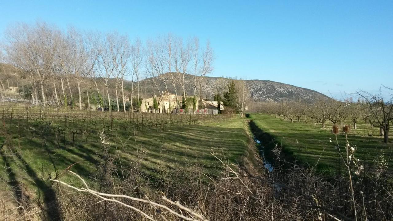 Gite Aux Tournesols Malaucène Esterno foto