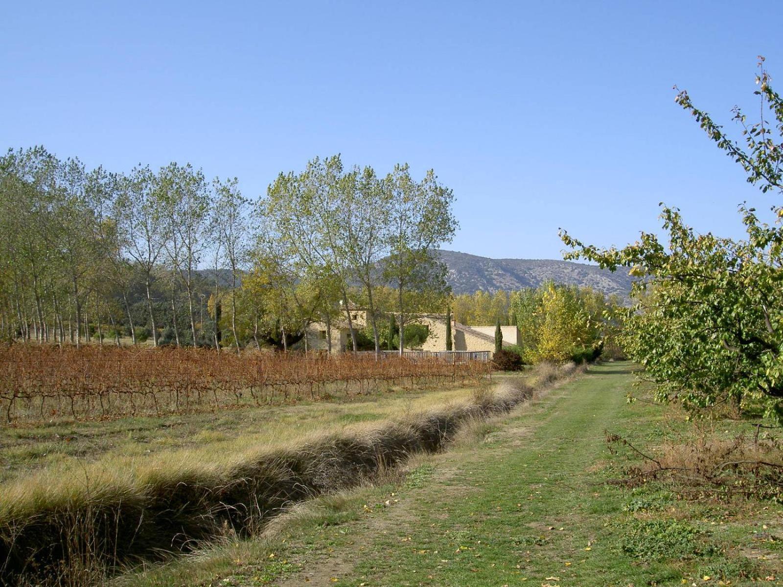 Gite Aux Tournesols Malaucène Esterno foto