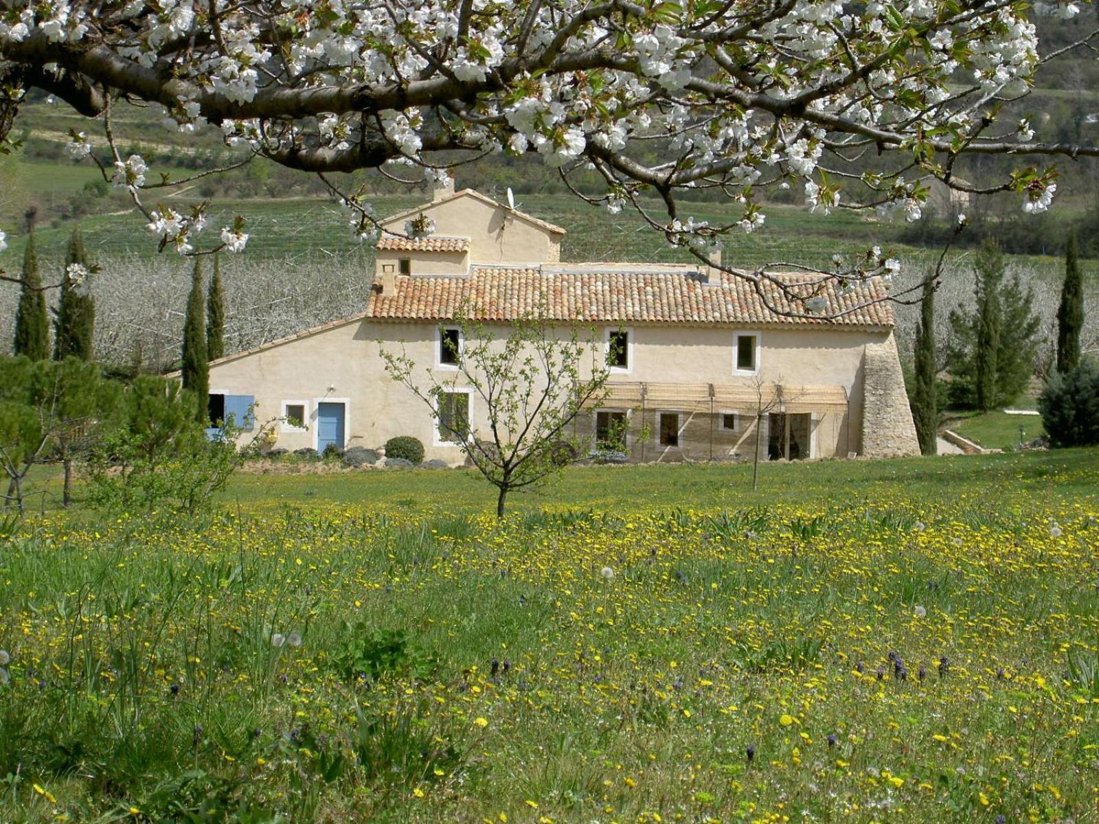Gite Aux Tournesols Malaucène Esterno foto