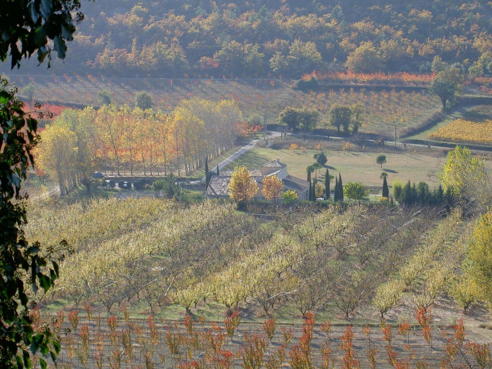Gite Aux Tournesols Malaucène Esterno foto